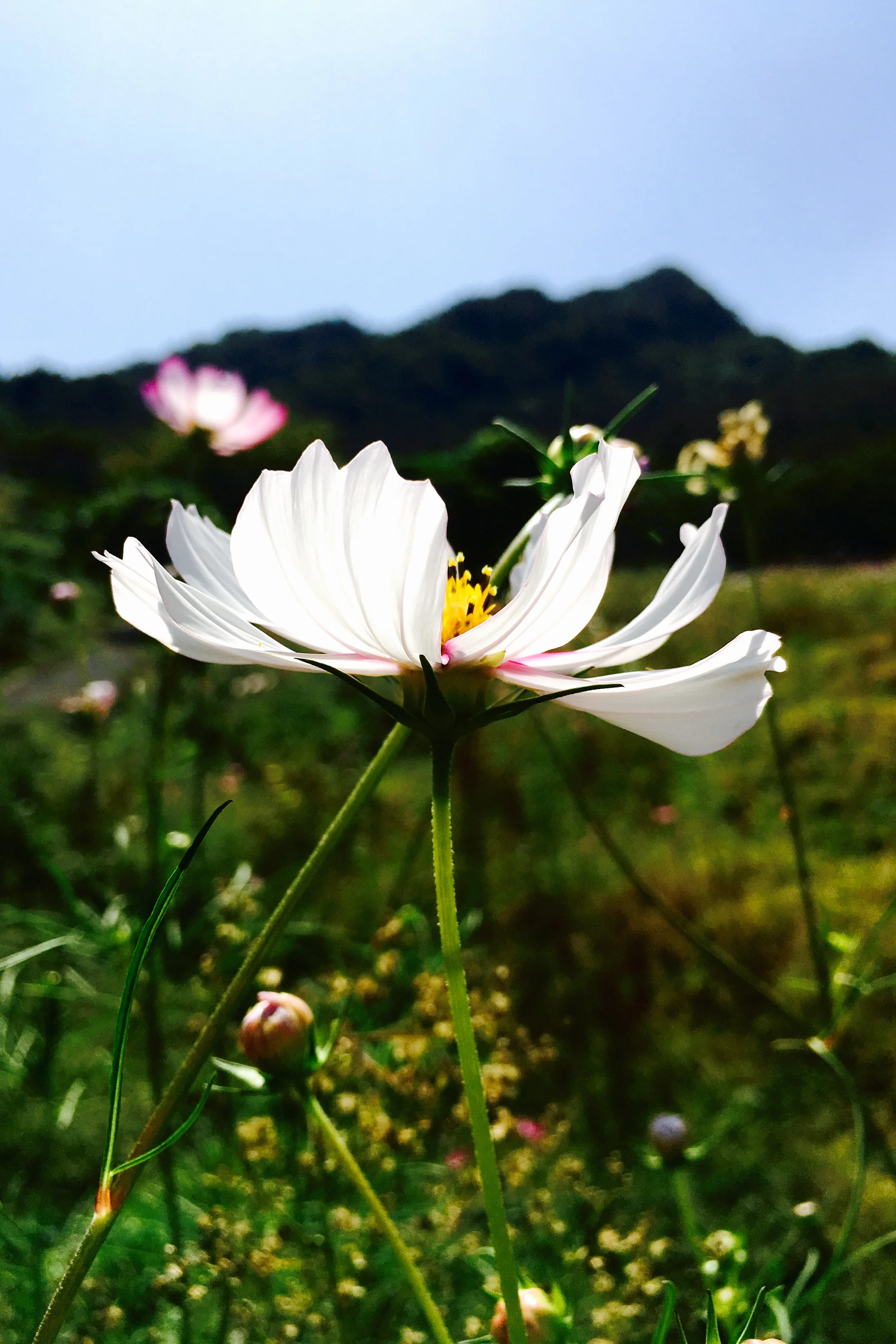 

Комплект металлических деталей для модификации радиоуправляемой машины MJX 1/14 14211: рулевые кронштейны, рычаги подвески, тяги, опоры кузова