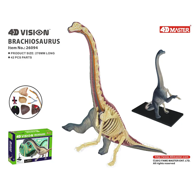 Tiranosaurio Triceratops Brachiosaurus Stegosaurus 4d Master Puzzle Assembling Animal Biology Dinosaur Organ Model