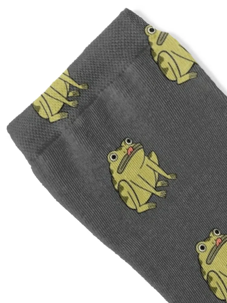 Frog Derp - Over the Garden Wall Socks bright garter sports stockings Novelties hiking Designer Man Socks Women's