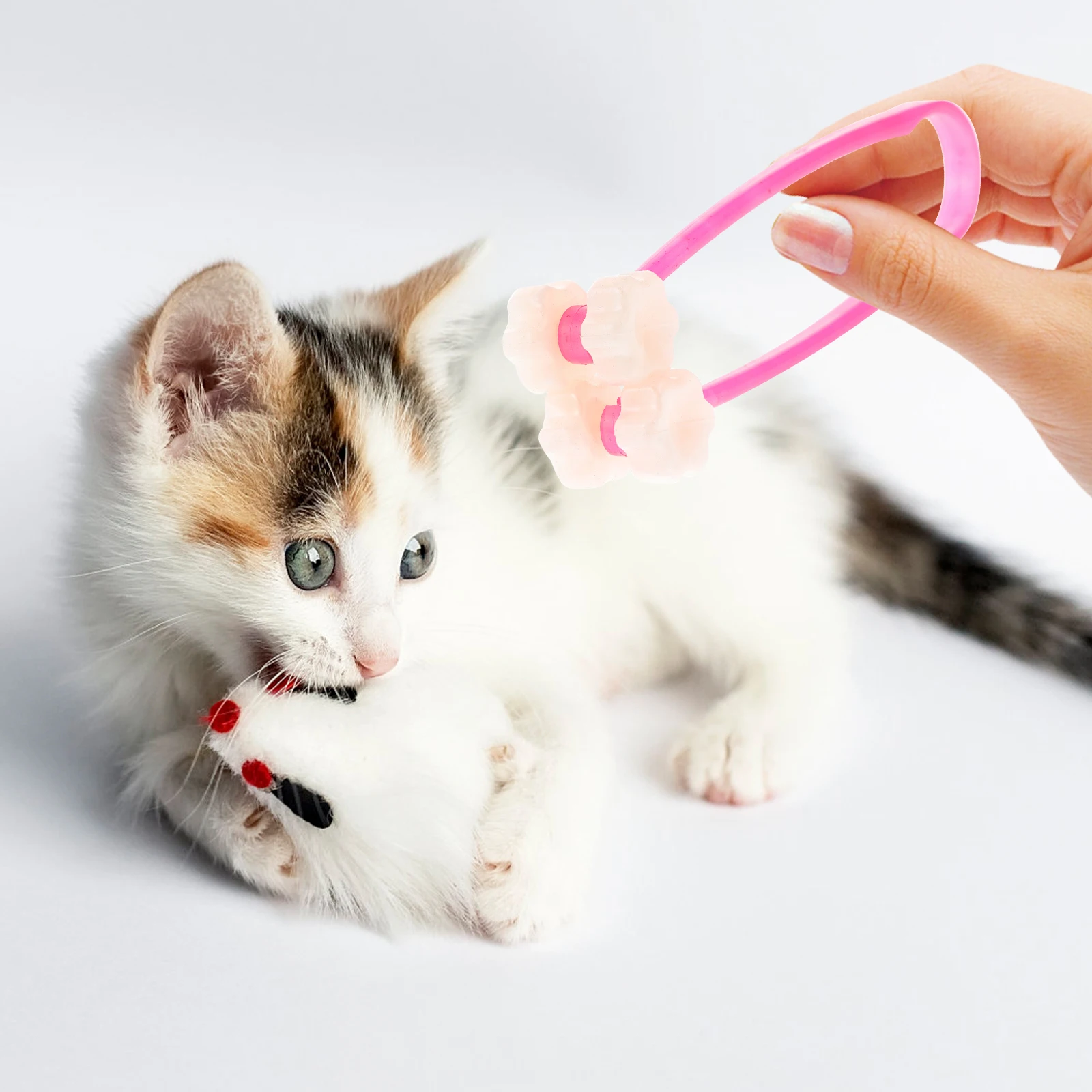 

Smooth Cat Face Roller For Pet Grooming And Relaxation Comfortable Dog Massage Tool