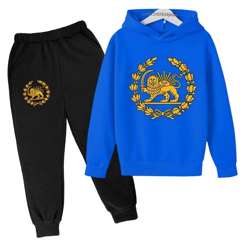 Lion And Sun Emblem Of Iran Print Kids Spring Autumn 2pcs Hoodie+Pants Tracksuits 2-13 Years Boys Girls Casual Clothes Sets
