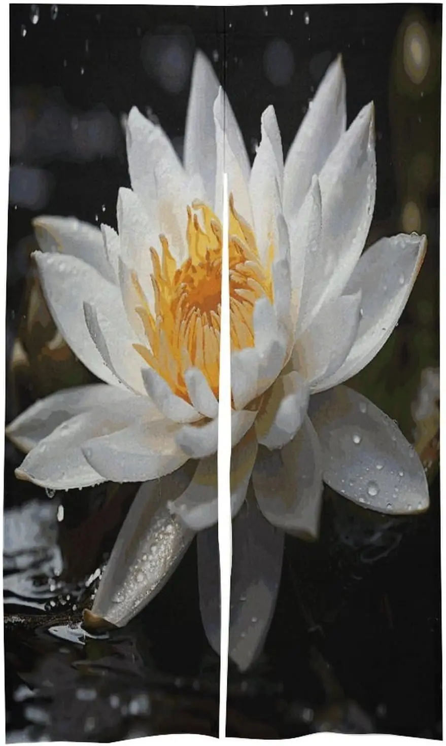 Water Lily Noren Curtain, Minimalist Style Dark Background Realistic Print, Serene Oriental Room Divider With Dew Drop Details
