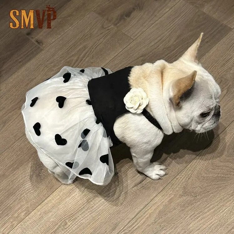 

Summer Black Breathable Fabric Suspender Splicing Love Pattern Mesh Tutu Dress French Retro Style Pet Cat Small Dog Dress
