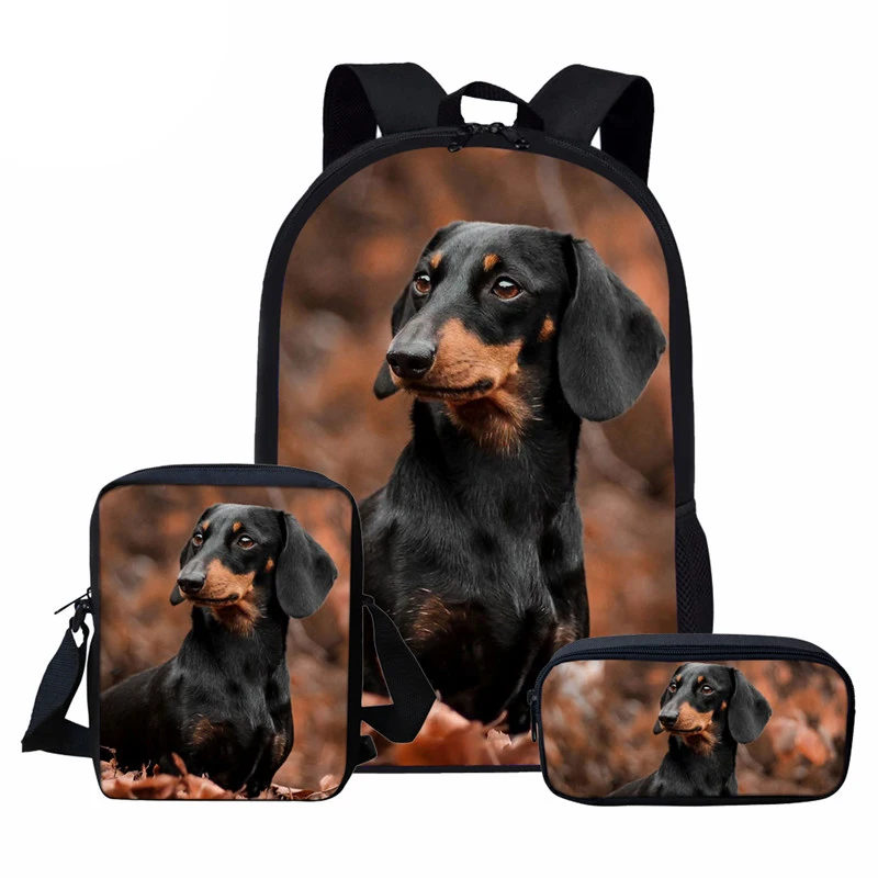 Imagem -02 - Conjunto de Bolsas Escolares de Dachshund Infantil Mochila Escolar Primária Grande Capacidade Bolsas de Livros Lancheira Apto para Adolescentes Meninas Meninos Crianças Pcs Conjunto