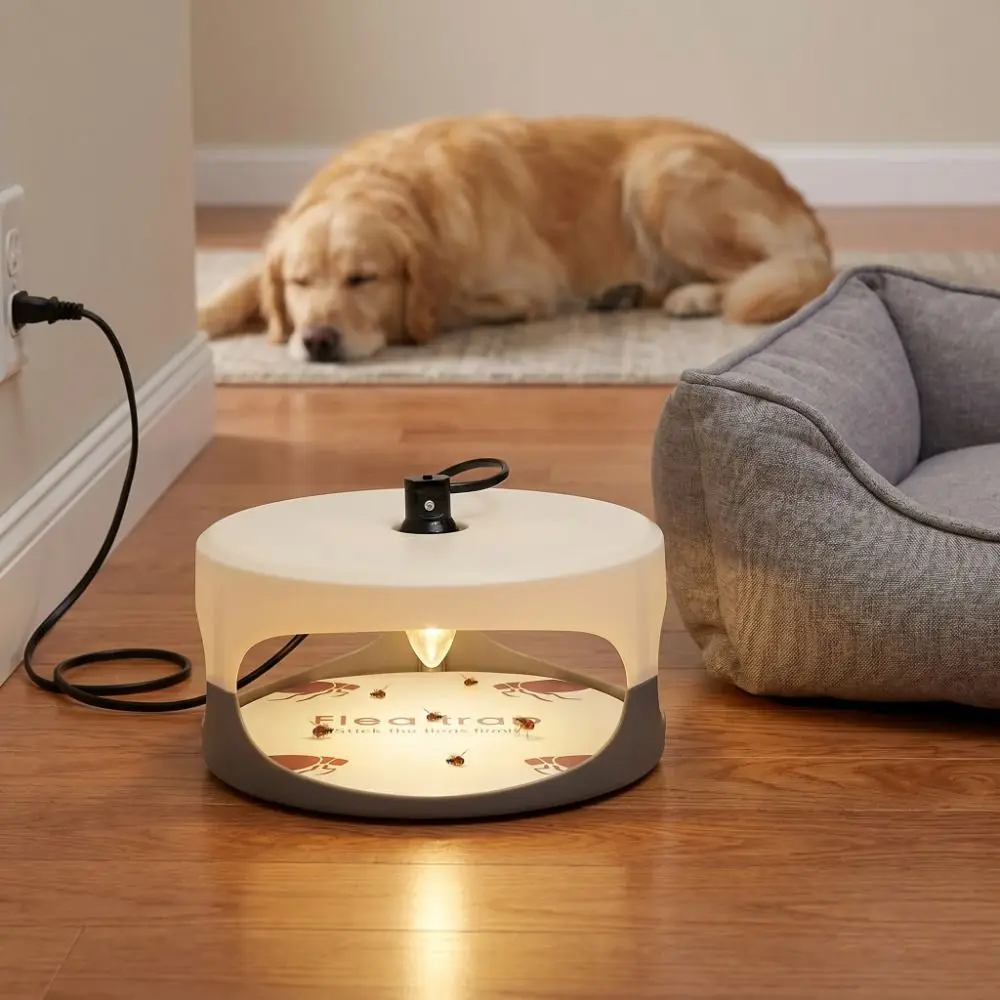 Round Shape Sticky Capture Trap Effective Light Plug Flea Trap Light Adhesive Sticky Natural Control Pest Control Capture Trap