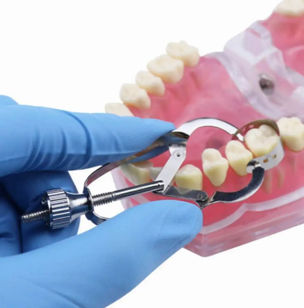 Dental Matrix Band Holder Stainless Steel Plier Type Sectional Matrix Clamp Autoclavable for Teeth Composite Resin Restoration