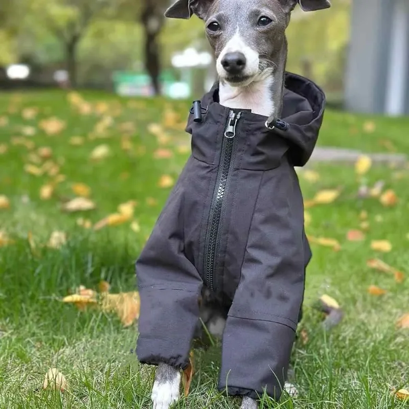 Universe Grocery Store A Beagle Fleece Jacket Windproof Water-proof Warm and Cold Clothing