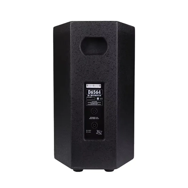 

250W 10'' Professional 2 Way Conference Room Speaker