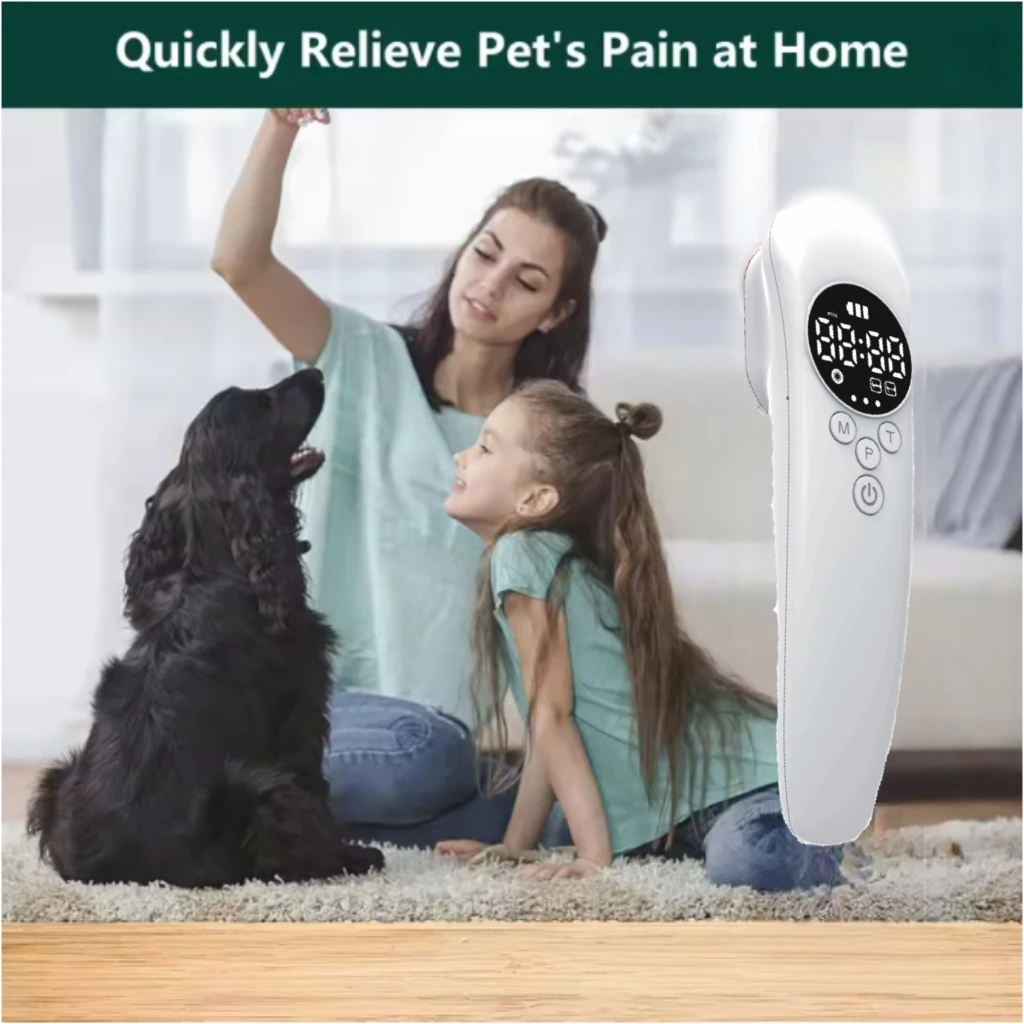 

Холодная лазерная терапия для домашних животных 3*808 нм, лазерные диоды, терапия красным светом, ускорение ран и костей, ветеринарные статьи для собак и кошек