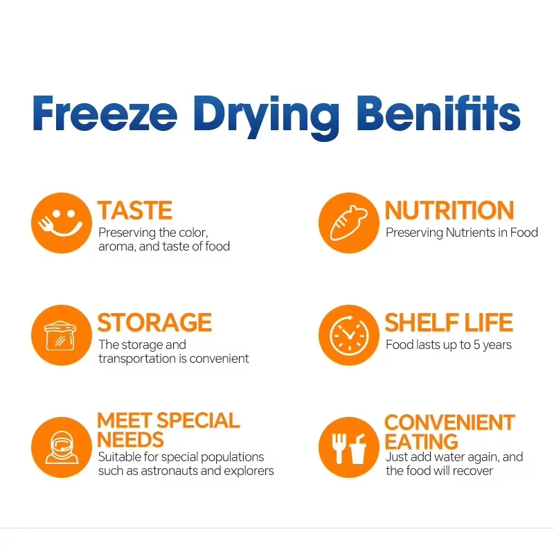 Factory Manufacturer 20kg Lyophilizer Vacuum Automatic Food Machine Home Freez e Dryer