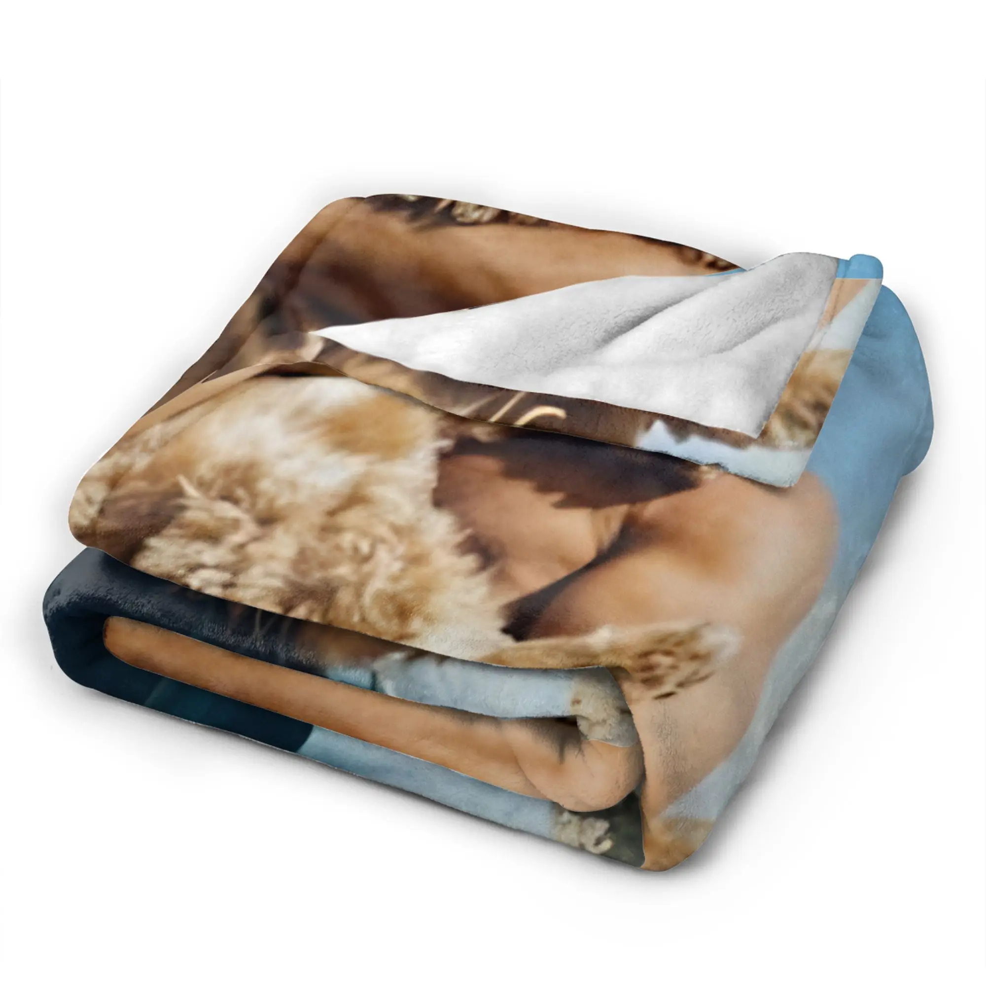 Jonathan Bailey Sexiest Man Alive Wicked  Plush Blanket Children  Flannel Bedding Throws For Couch Chair Sofa Bed Soft Bedspread