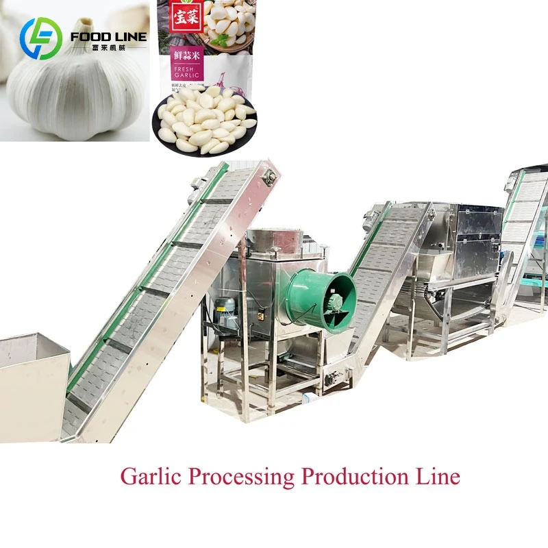 Customized Popular Benfu Garlic Cleaning Breaking Peeling Sorting Processing Machine