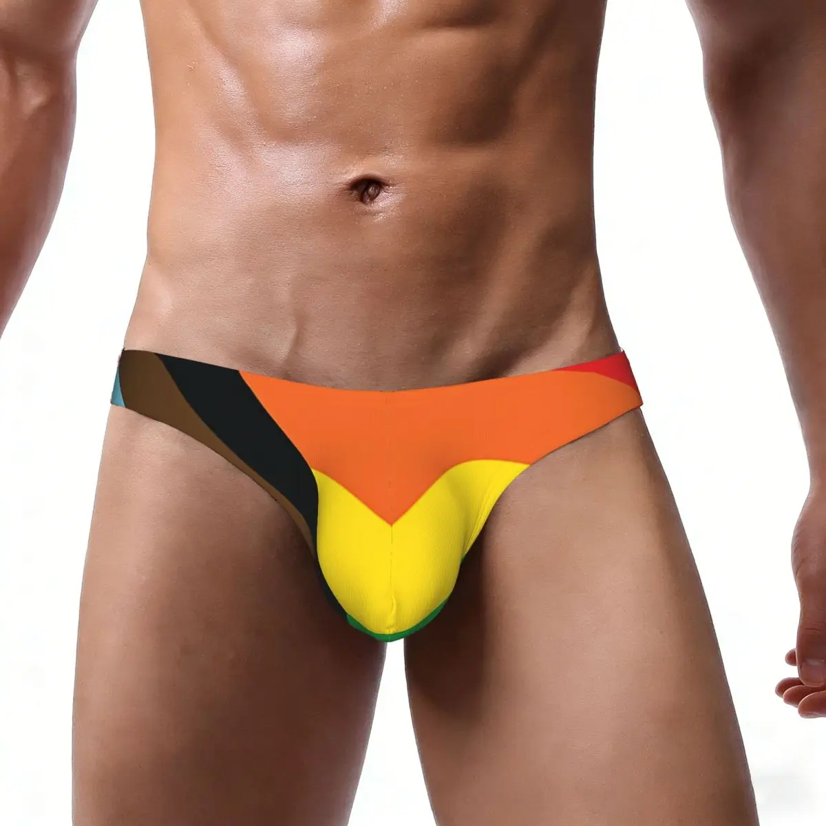 Men's Panties Man Briefs Rainbow Flag Gay Pride Sexy Underwear Male Bikini Underpants