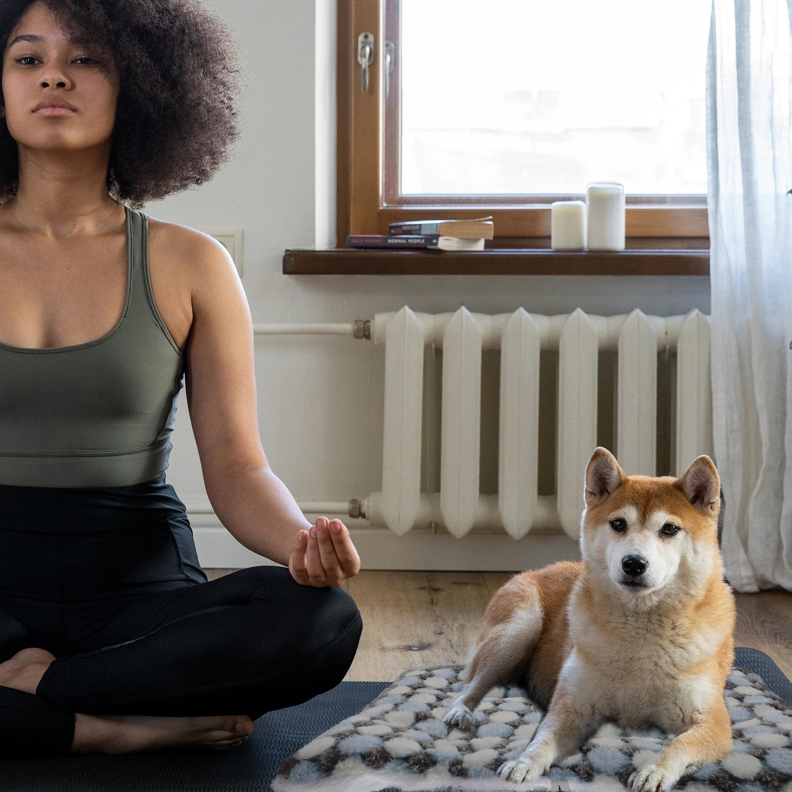 

2Pcs Pet Floor Sleeping Mat Durable Safe Material Pet Sheeping Bed Comfortable Rest Throw Rug Sofa Covered Cushion