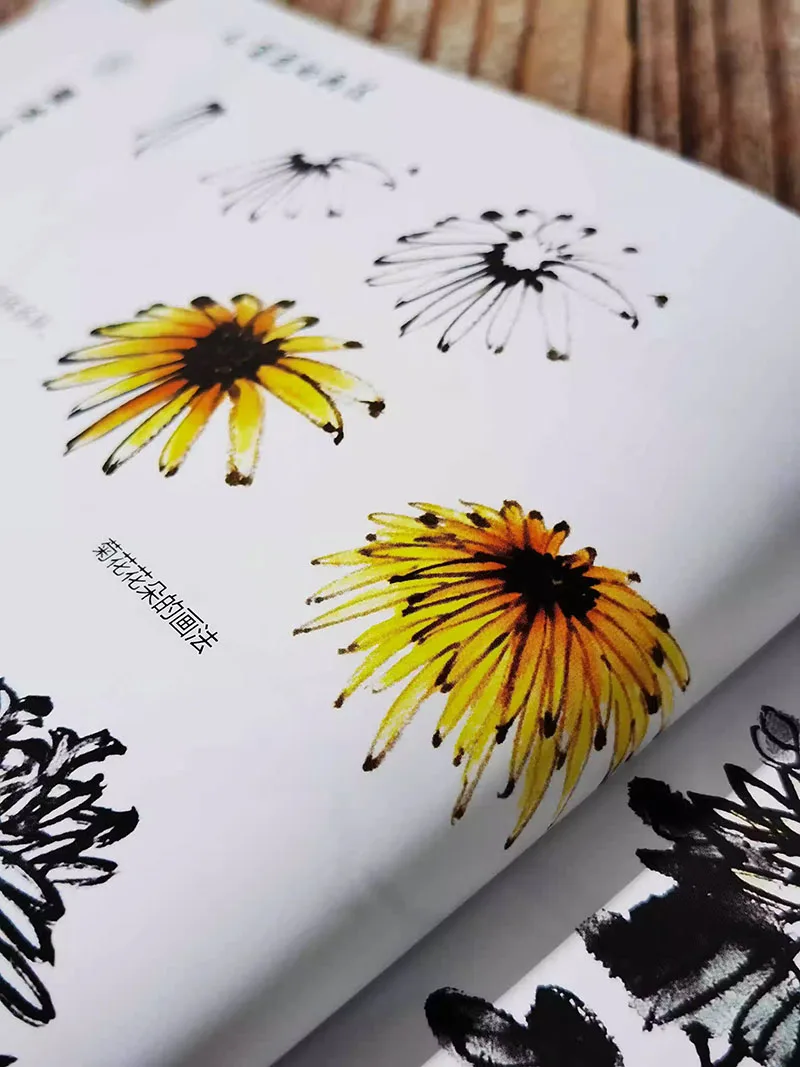 Introduction to Art Fundamentals Tutorial Book For Gong Bi Landscape Traditional Chinese Painting