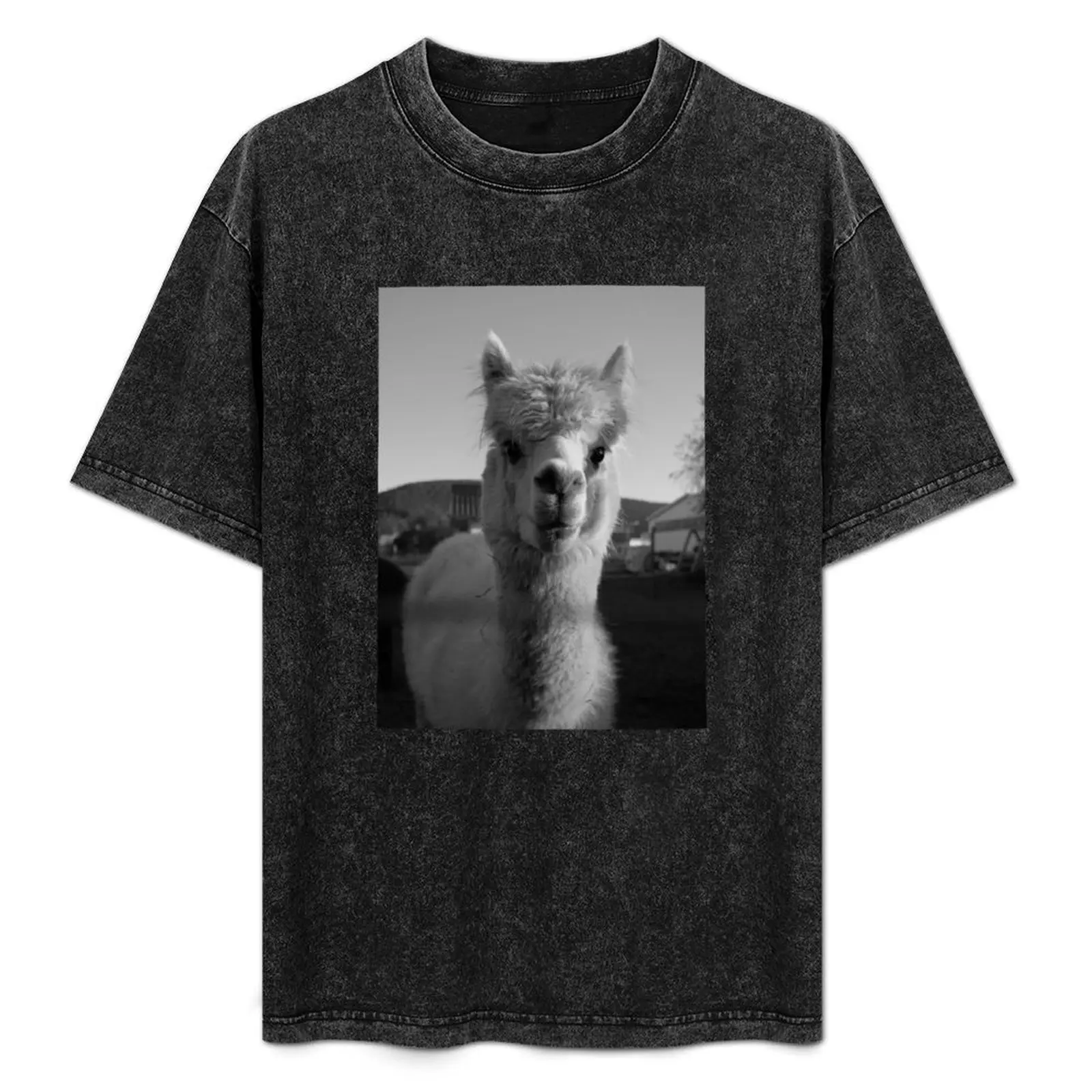 Alpaca Black & White Lama Peru Alpaka Sweet / ALPACA LOVE Collection T-Shirt cotton graphic tees oversized t shirts for men