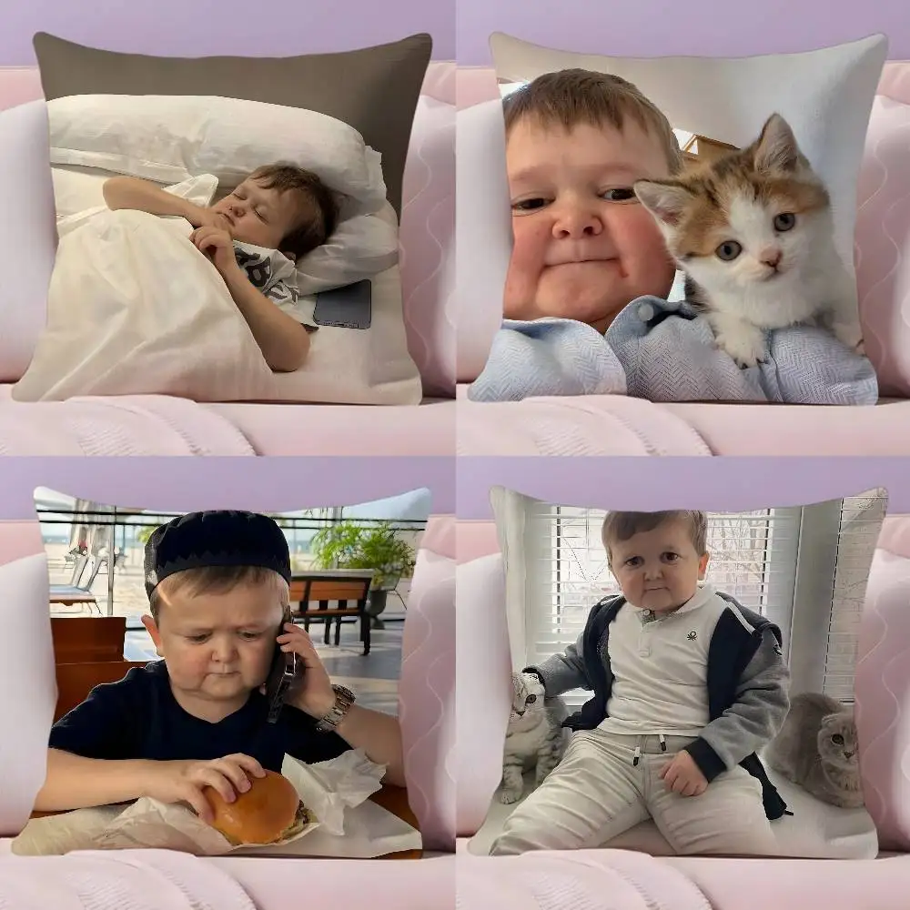 

Funny H-HasbullaS Pillow Case Pillowcase Ultra Soft Skin Friendly Fabric Cloud Like Comfort & Concealed Zipper