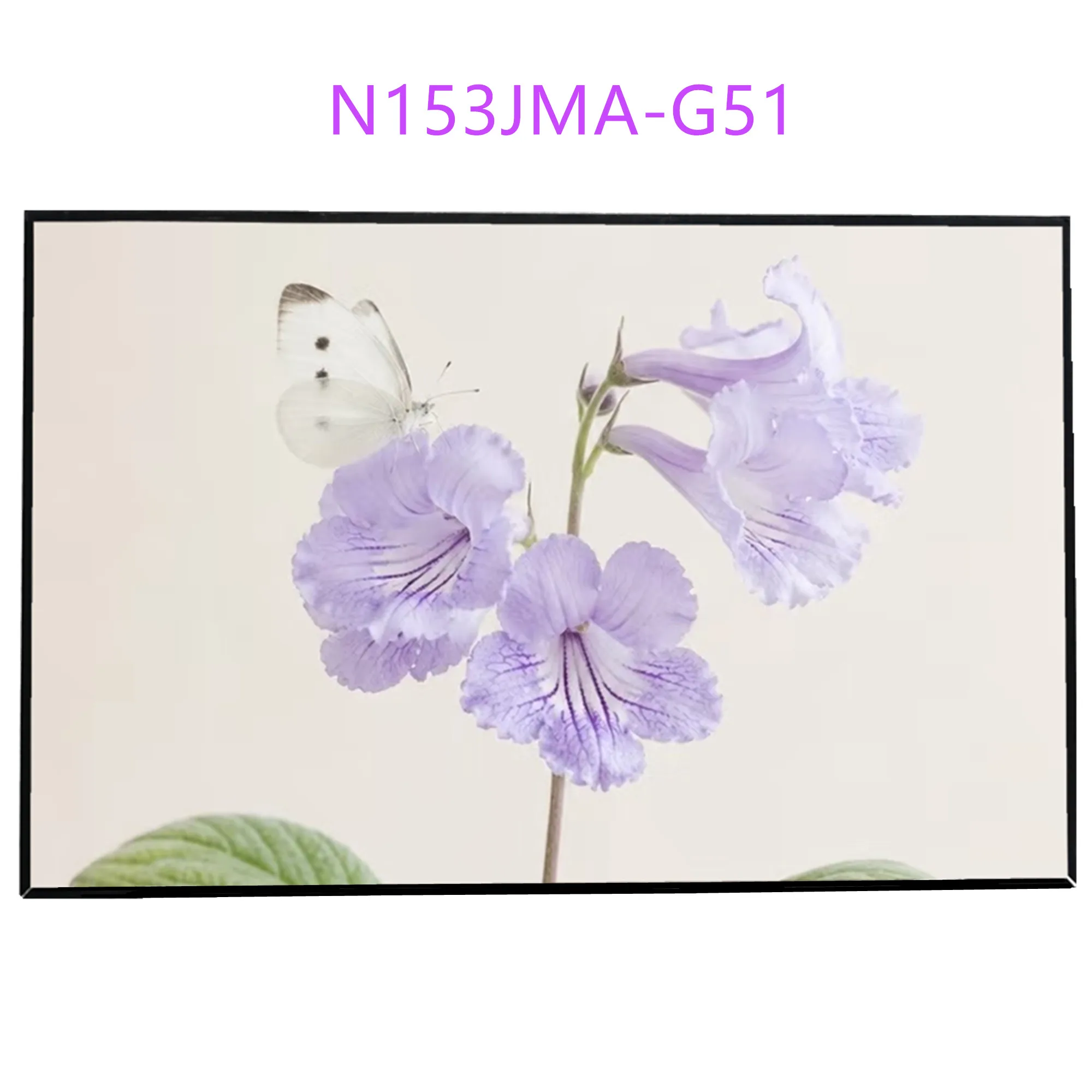 N153JMA-G51 Rev.C1 15.3'' Laptop LCD Screen Display Panel Matrix Replacement