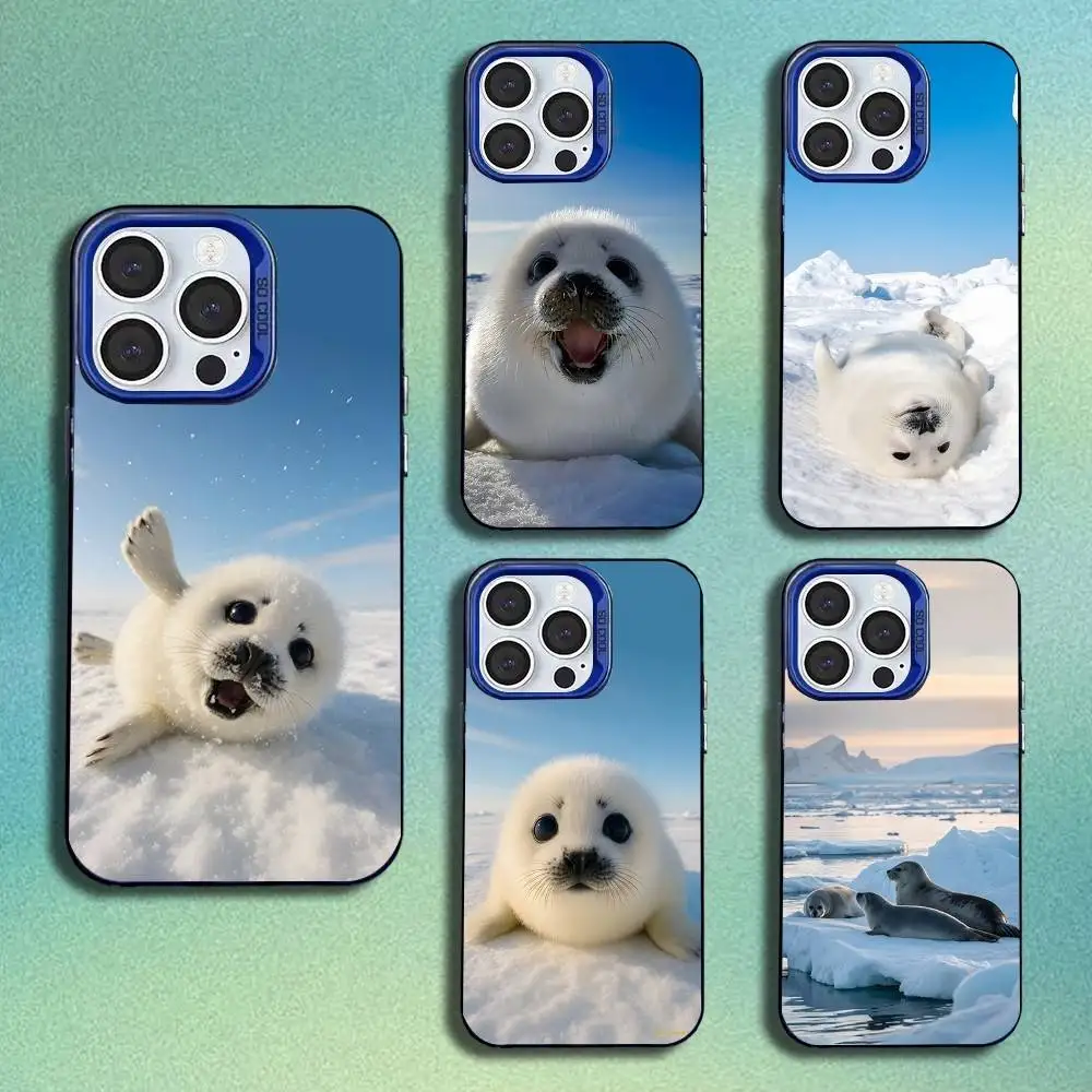 

Seal Animal Cute Phone Case For iPhone 16,15,14,13,12,11,Mini,Pro,SE,MAX Blue Matte Silicone Cover