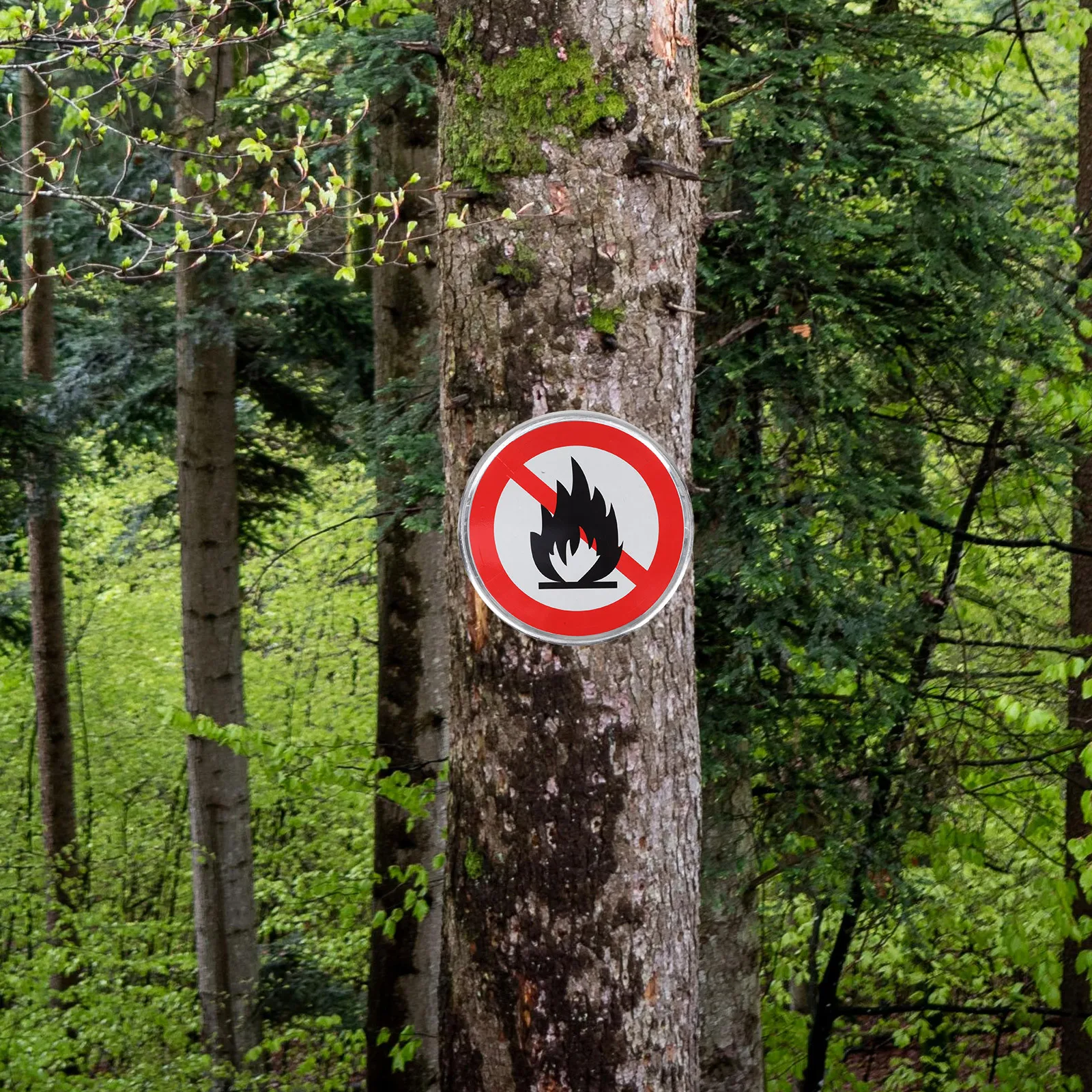 Sinal de prevenção de incêndio durável 30cm cores negrevidas texto claro aviso de segurança sem queima aberta ideal para campos de acampamento florestais caminhadas