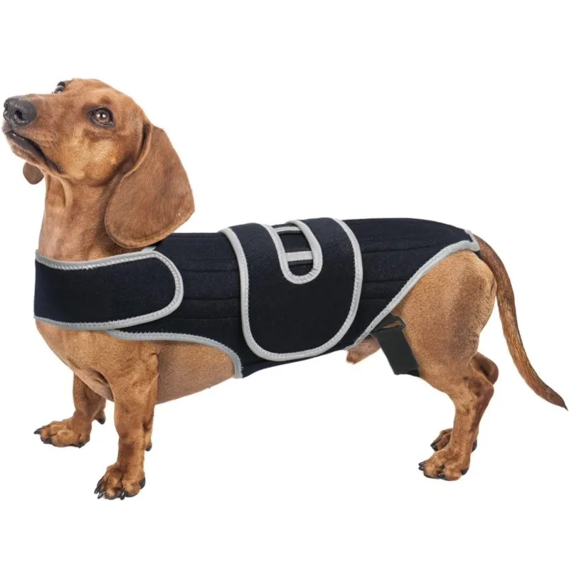 Dog Back Support Vest, Pet Waist Stabilizing Harness, Back Guard For Large Dog Spine Support And Body Protection Home Supply