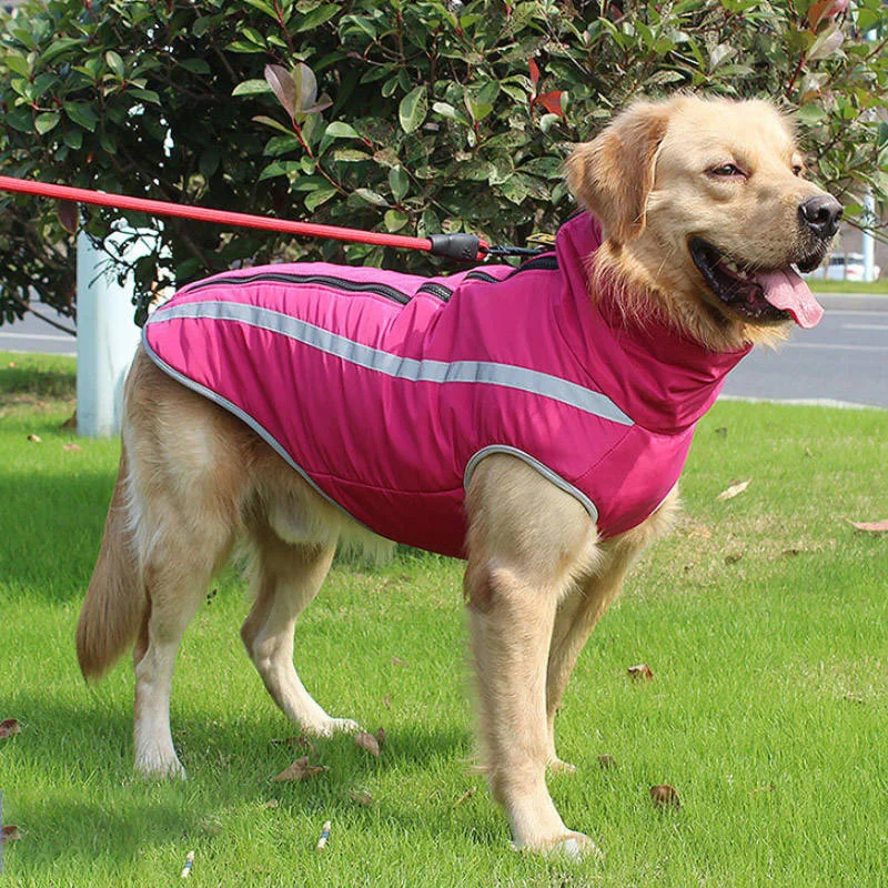 Reflective waterproof dog cotton clothing outdoor large dog jacket zipper large breed dog clothing winter jacket with belt hole