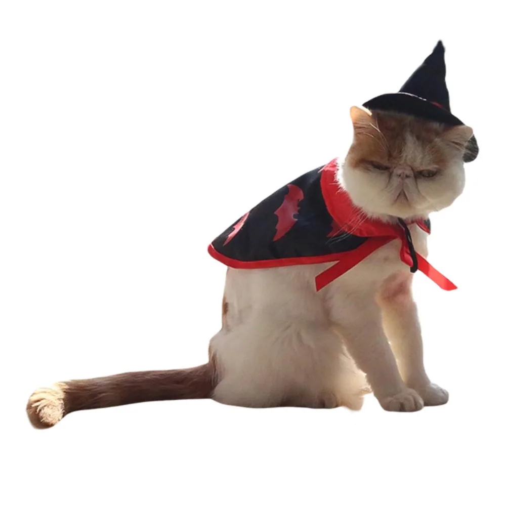 

Funny Pumpkin Pattern Halloween Cat Cloak Bat Breathable Cat Halloween Costume Creative Adjustable Halloween Dog Costume Party