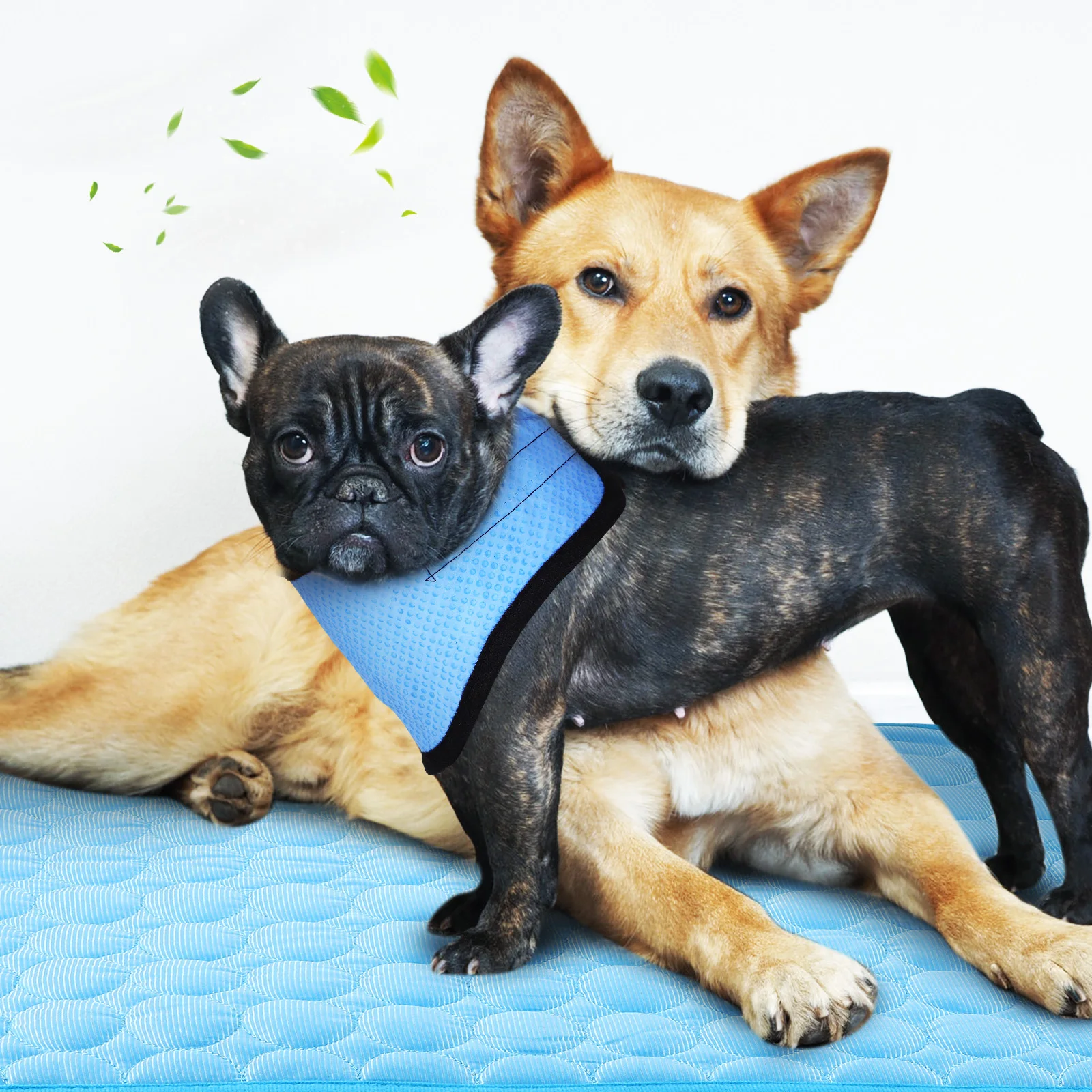 

Dog Cooling B Black Border M Size 62x50cm Ice Silk Pad PVA Breathable Summer Pet Accessories Cooling Scarf