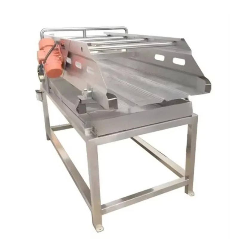Frozen Fruit And Vegetable Processing Line, Small Scale Continuous Washing Sorting Freezing Machine, For Vegetable Farm
