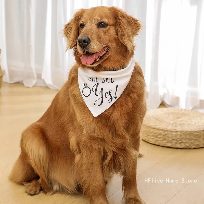 Best Dog of Honor Bandana Scarf Wedding Engagement bridal shower bride to be Bachelorette hen party decoration Photo shoot gift