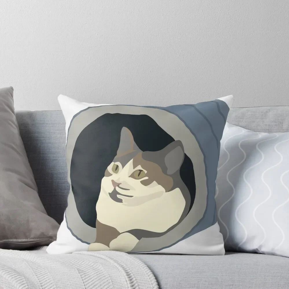 Calico cat Throw Pillow Room decorating items Sofa Cushion pillow