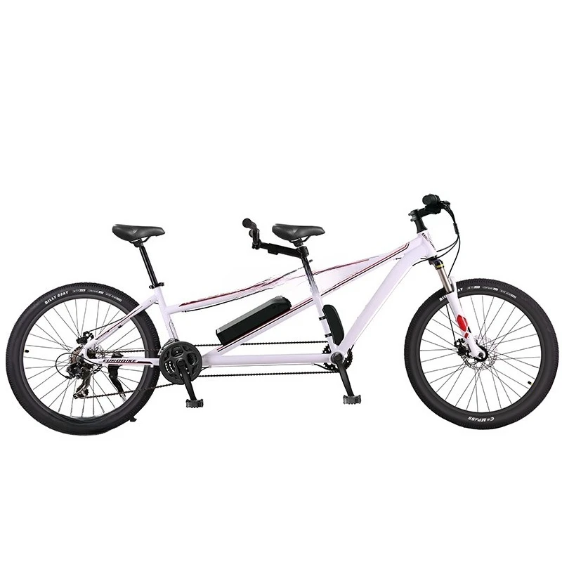

Electric series two-seat folding electric series bicycle