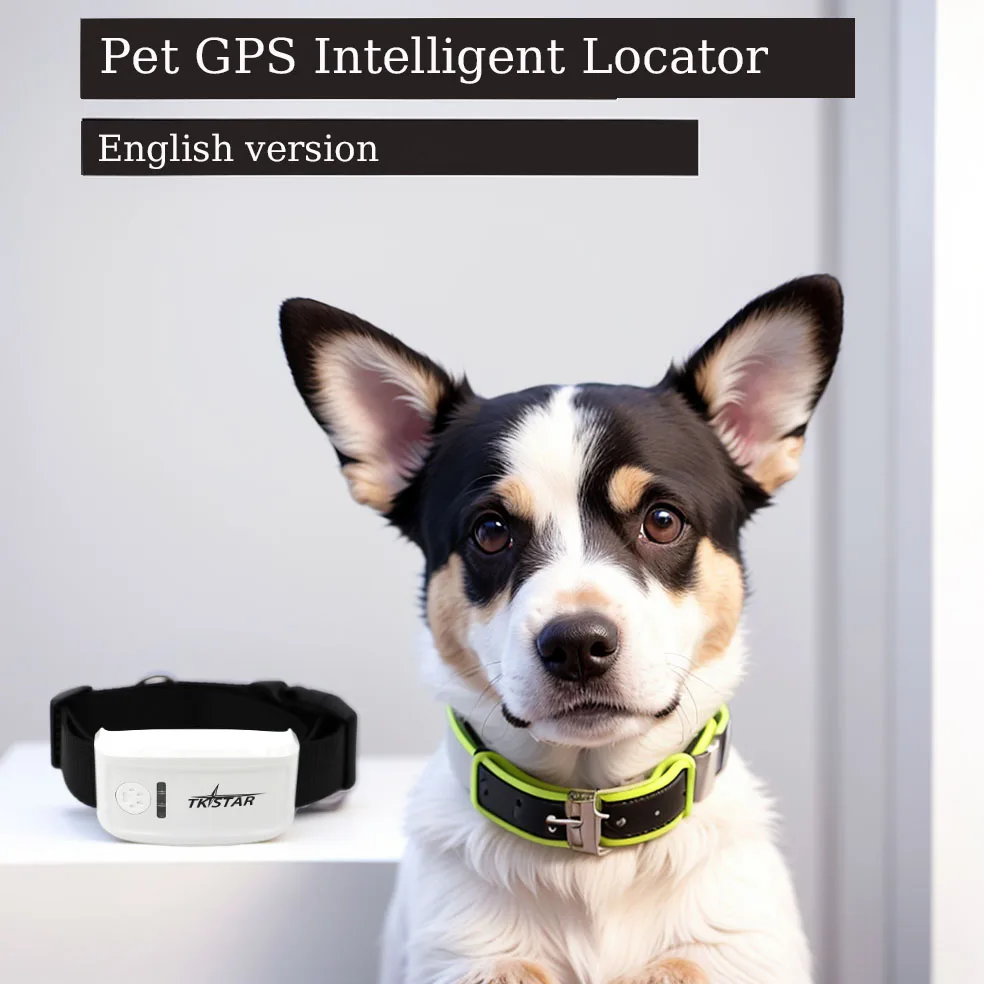 GPS Pet Cat and Dog Tracker Smart Collar Positioning and Activity Unlimited Range Online Tracking Pet