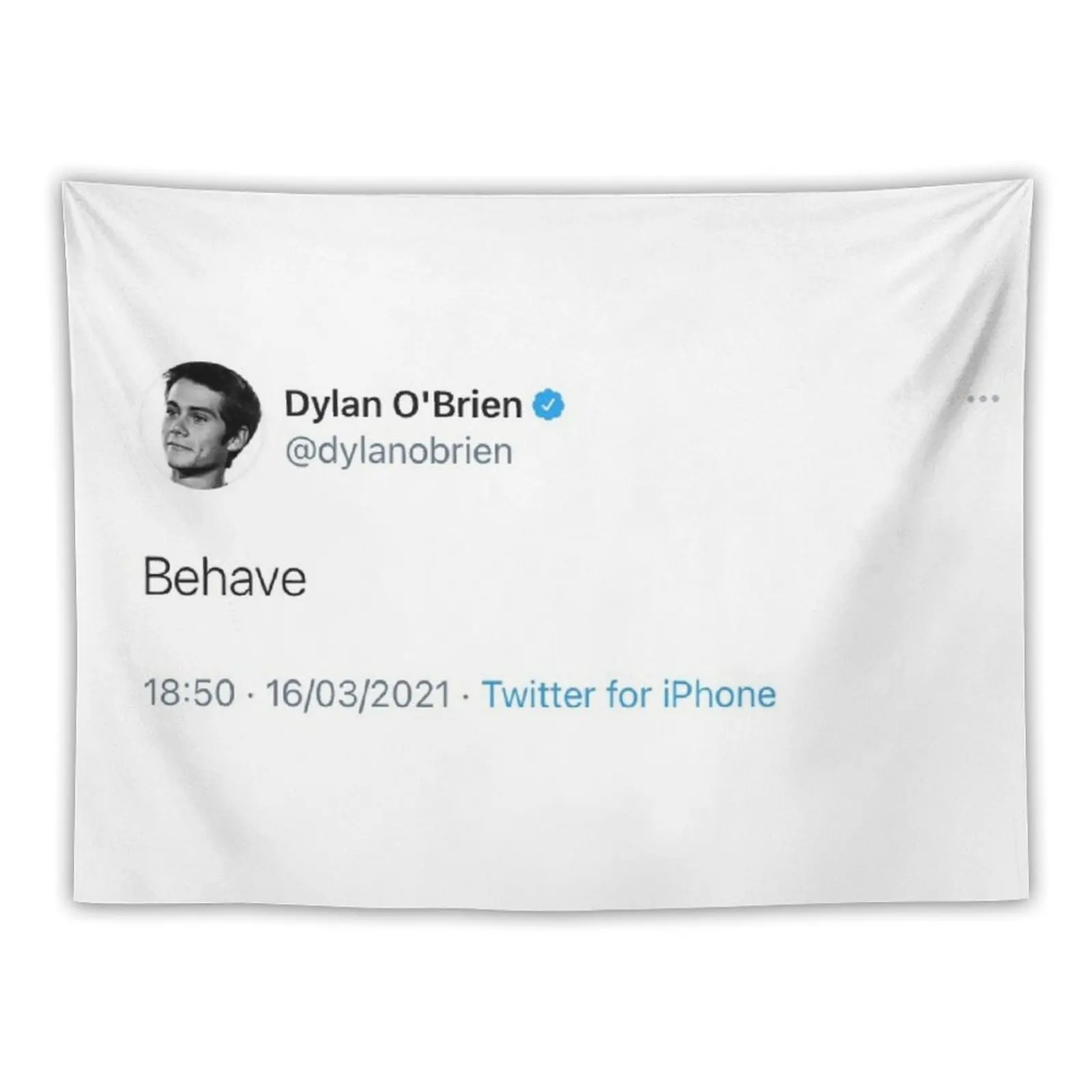 dylan o’brien behave tweet Tapestry Wall Carpet Decoration Wall Room Decor Cute Wall Art Tapestry