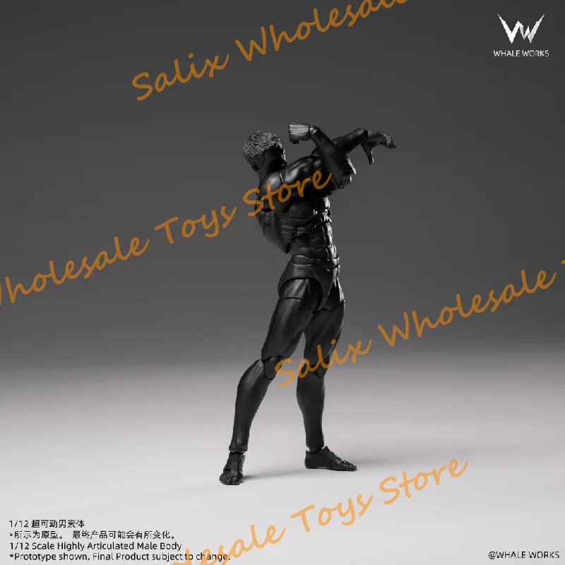 WHALE WORKS 1/12 Scale Super Articulated Male Body ASH Dolls With Mobile Eyes Collectible Action Figures Toys