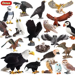 Oenux Wild Bird Animals Forest Night Owl Eagle Figurines PVC Action Figure Garden Decoration Education Miniature Toy Kid Gift
