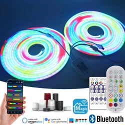 12V 24V RGB Neon LED Strip 84LEDs/M Smart Music Sync DIY APP RGBIC Addressable Pixel Tube Tape Rope Bluetooth WIFI Magic Home