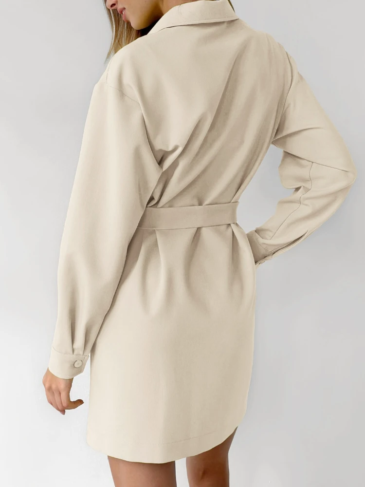 Stijlvolle temperamentjurken Dames Casual revers Lange mouw Single Breasted Lace Up Mini-jurk Dagelijks woon-werkverkeer Vintage slanke jurk