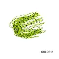 Color 02