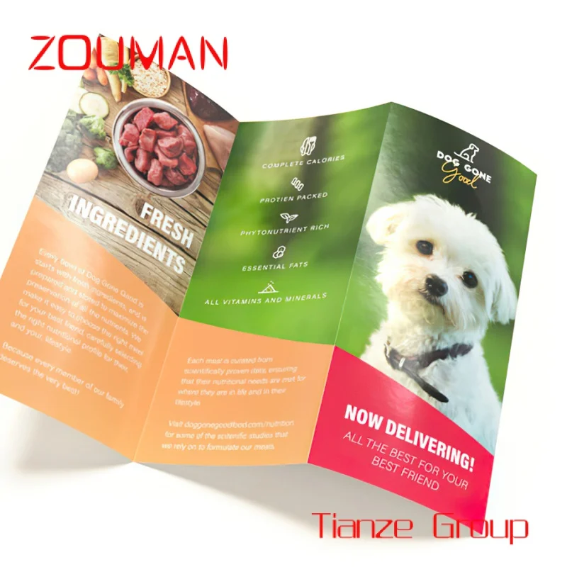 Custom , High Quality Leaflet Printing Gloss Design Color Paper Brochure Folding Printing Flyer With Good Price