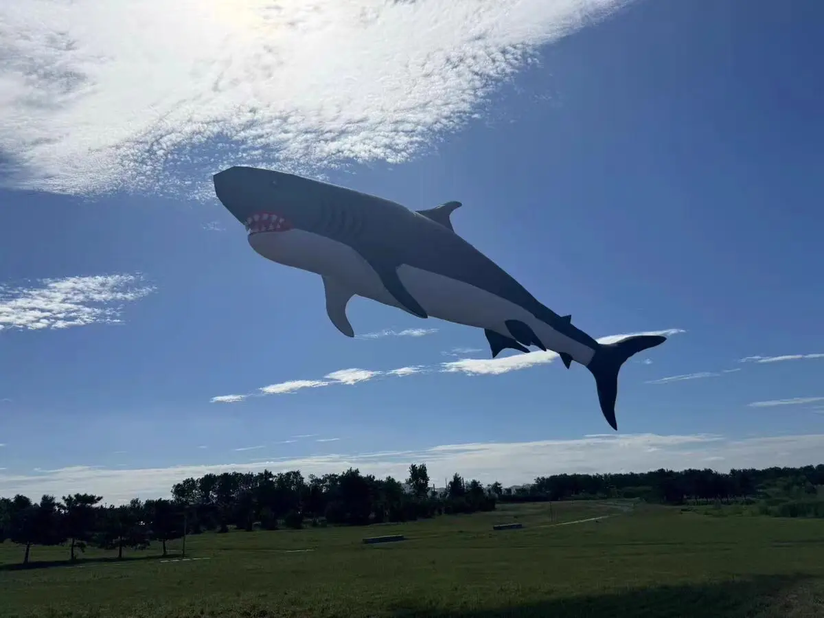 Neuankömmling, weich, aufblasbar, 12 m, Power Shark Kite Wäsche für Erwachsene, hochwertiger Ripstop-Nylon-Show-Drachen-Anhänger
