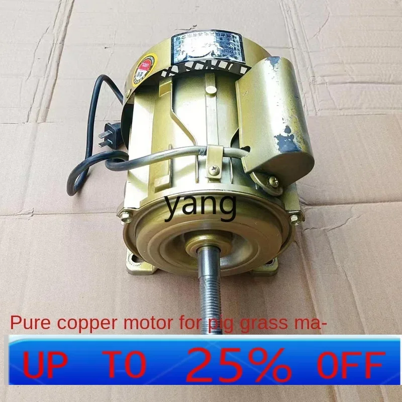 CVX  Special motor for hogweed machine