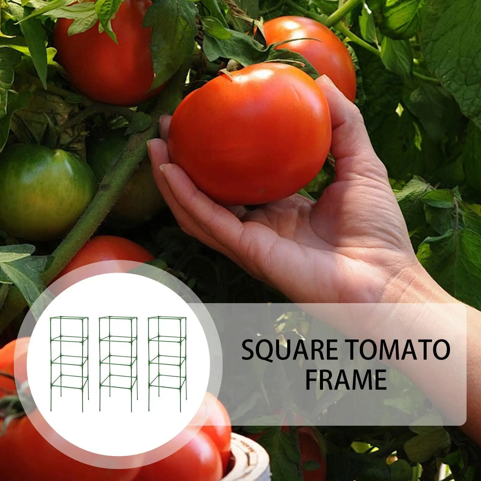 Tomato Trellis for Garden planter Pots 3 Piece Heavy-Duty Rack for Climbing Vegetables Fruit Beans Peony Rose Flower Tomato Cage