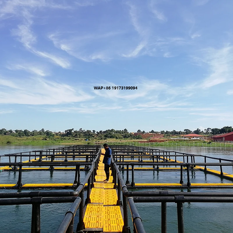

HDPE Floating Cage Fish Farm Aquaculture Equipment