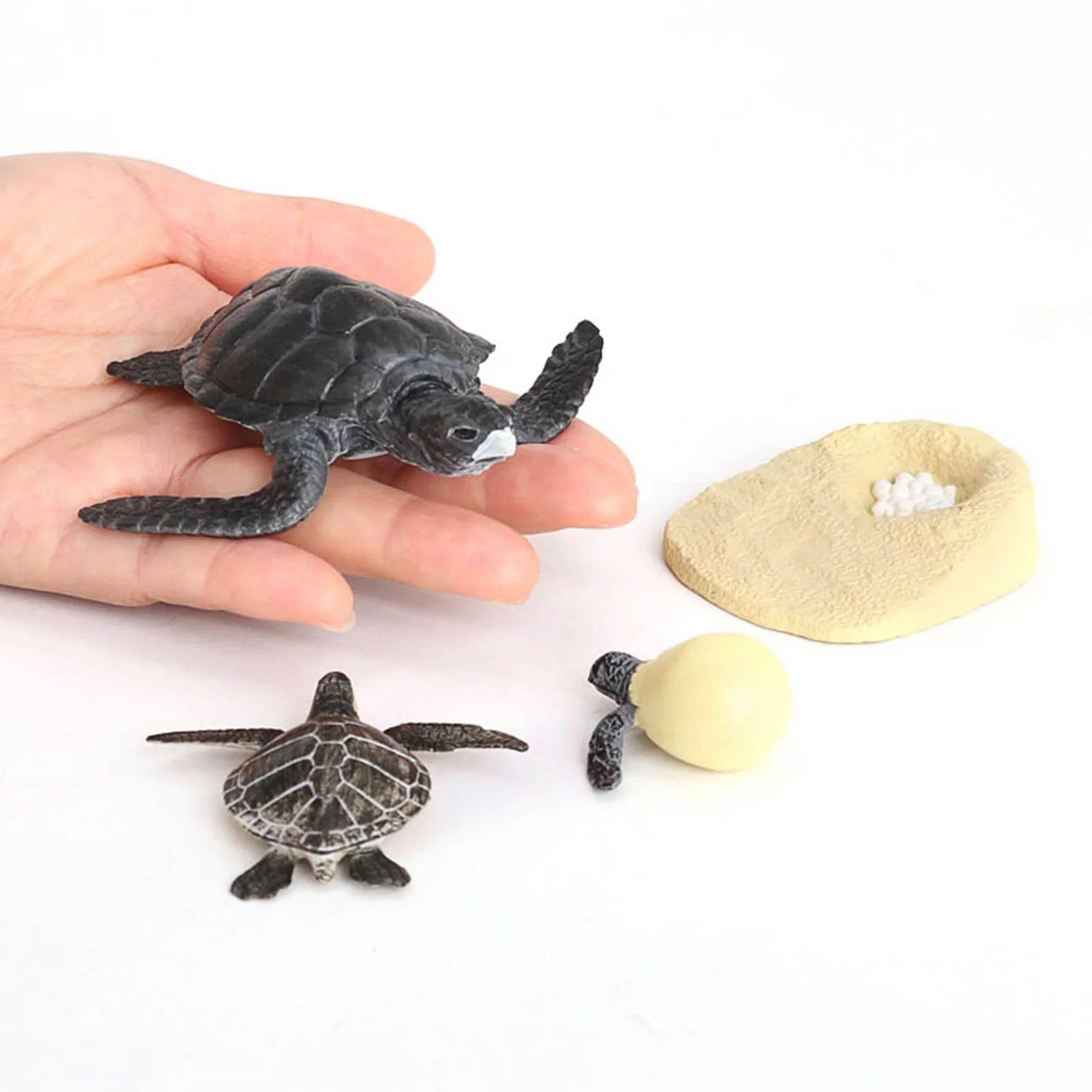 Simulation Turtle Animal Life Cycle,Turtle Animals Growth Cycle Model Animals Growth Cycle Educational Kids Toys B