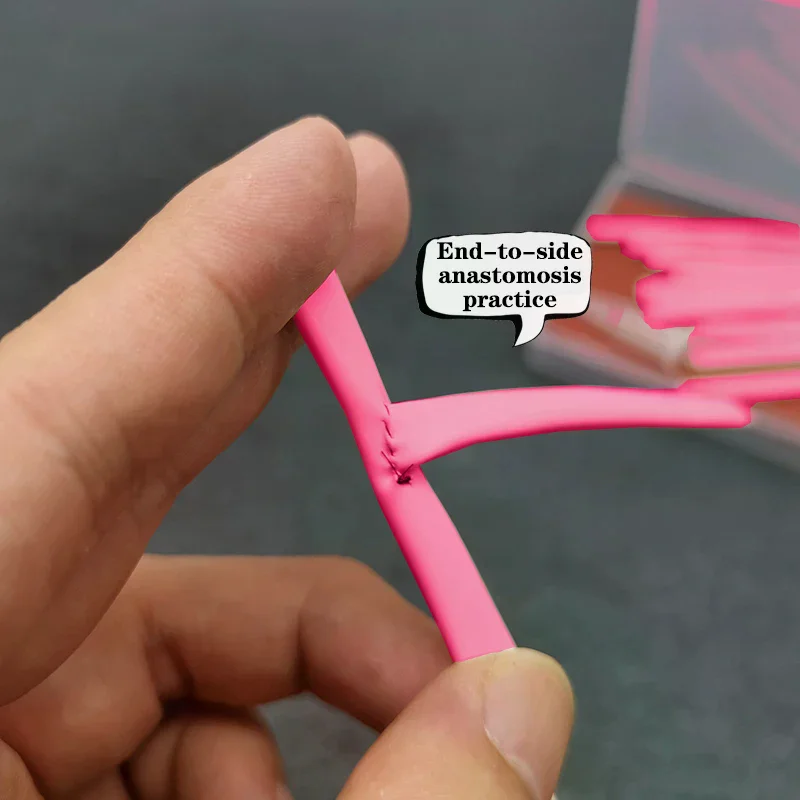 Microsurgery End-to-End Anastomosis Simulation Model Blood Vessel Suture Skills Training 2mm/5mm Measurement Vascular Exercises