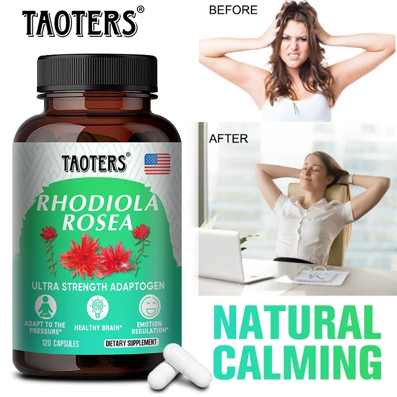 100% 천연 식물 Rhodiola Rosea 캡슐 보충제, 슈퍼 적응원, 스트레스 해소, 건강한 두뇌 및 기분 조절