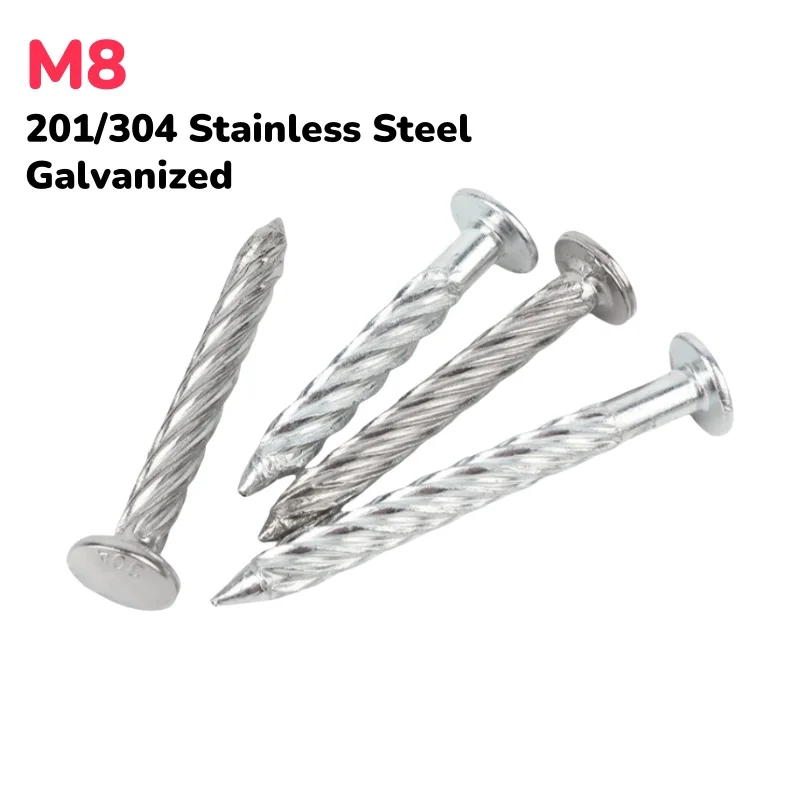 M8 201/304 Stainless Steel/Galvanized Round Head Anti-Theft Net Fixing Screw Nail/Fried Dough Twists Nail/Cement Nail