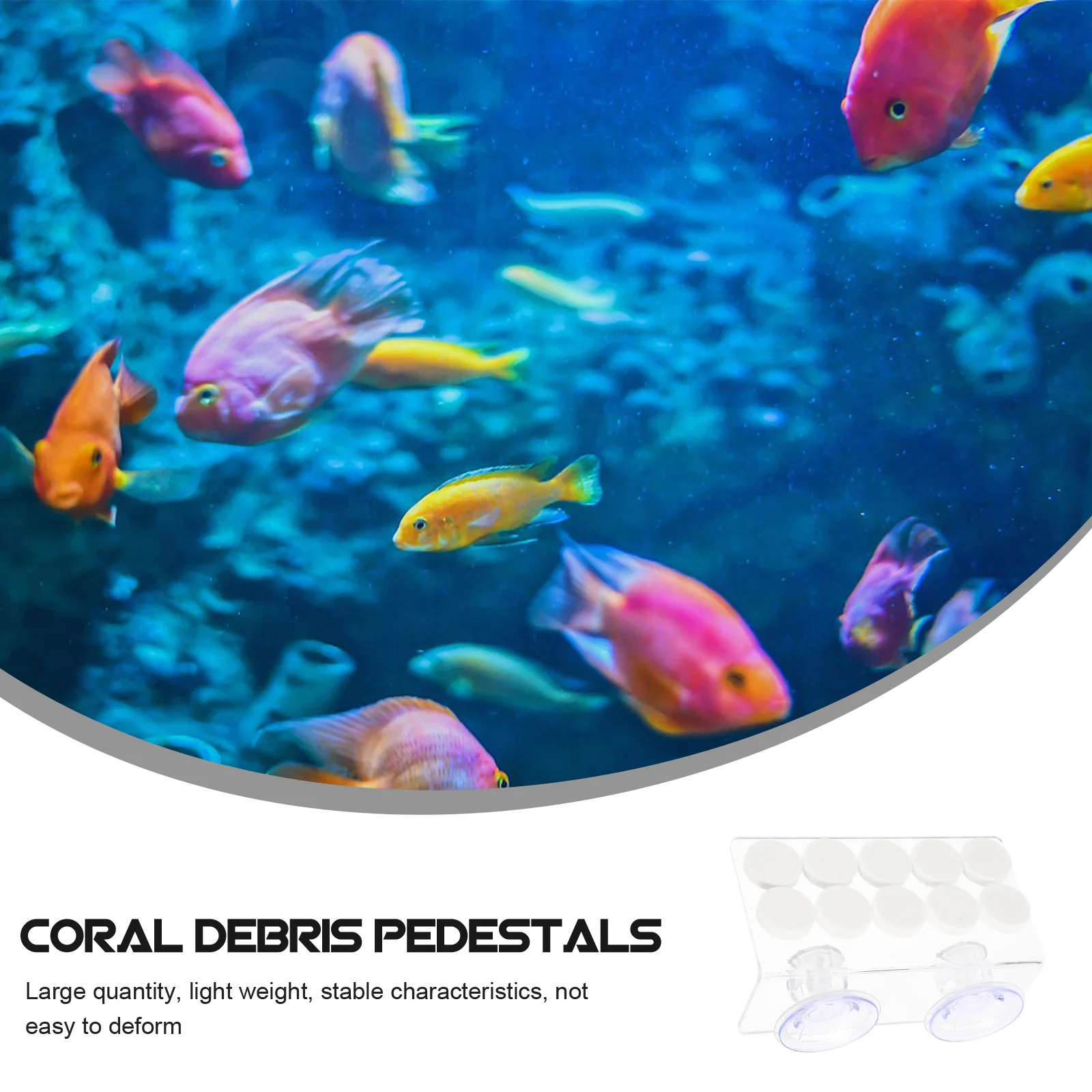 

Coral Rack Acrylic Base Aquarium Accessory Transparent Lightweight Debris Pedestals Coral Holder Aquarium Accessories