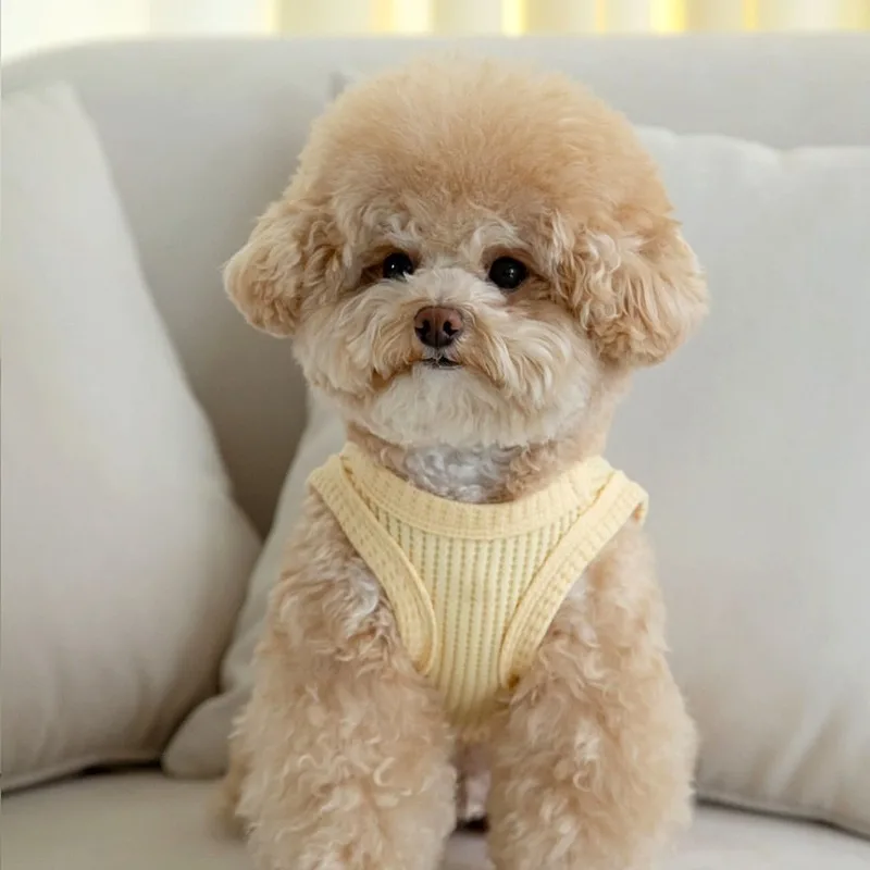 

Yellow Waffle Pet Clothes Summer Breathable Puppy Vest Small Dog Teddy Soft Pullover Bichon Frise Cartoon Clothing